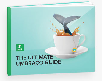 See if Umbraco is Right For You